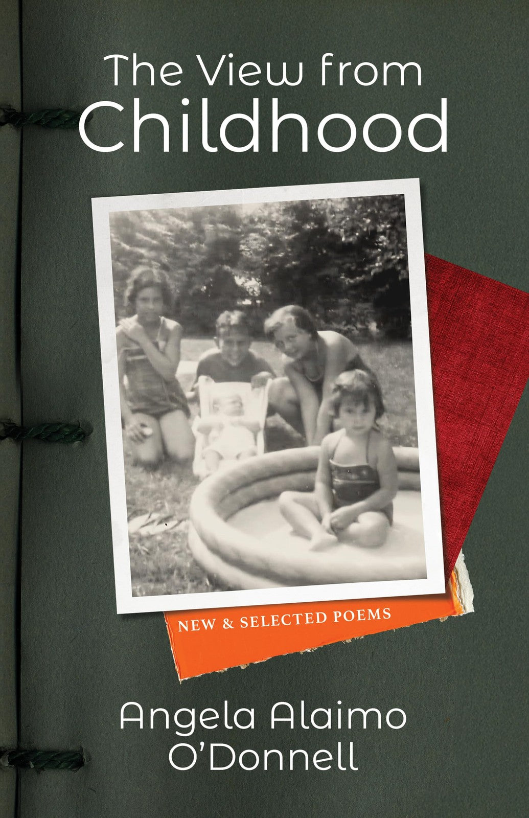 Book cover of The View from Childhood: New and Selected Poems