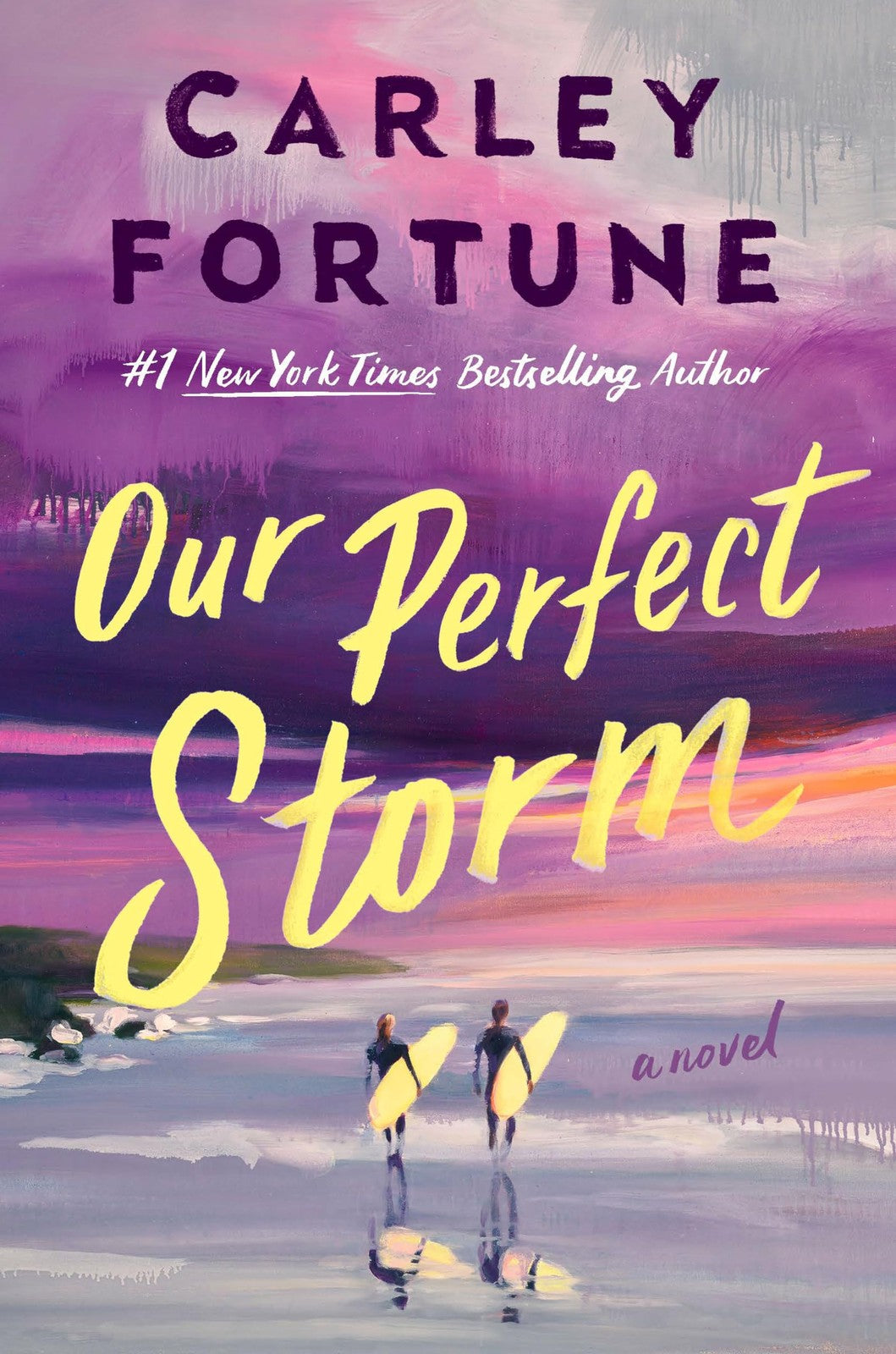 Book cover of Our Perfect Storm