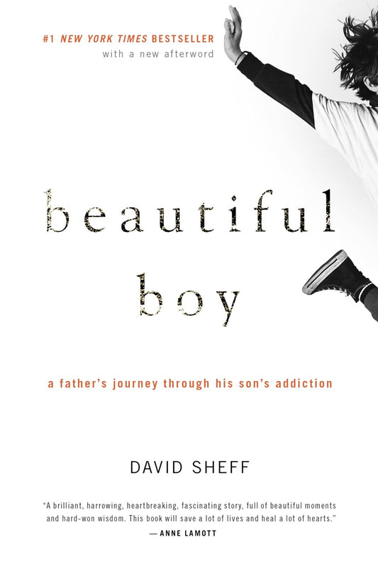 Book cover of Beautiful Boy: A Father’s Journey Through Love, Addiction, and Hope