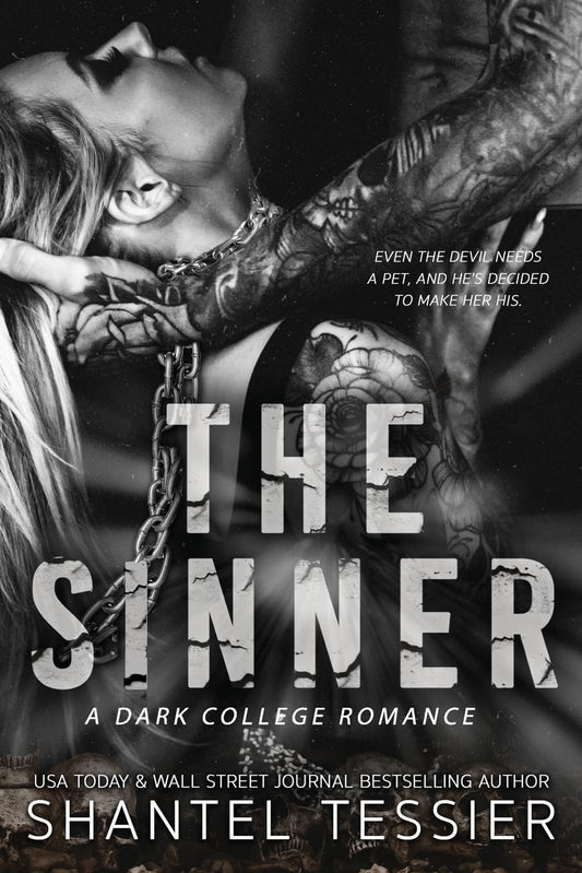 Book cover of The Sinner [Brand New]