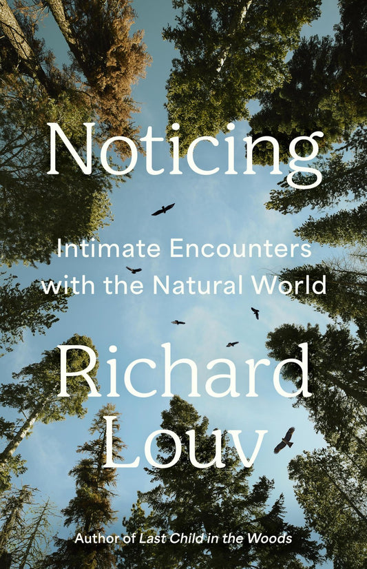 Book cover of Noticing: Intimate Encounters With the Natural World