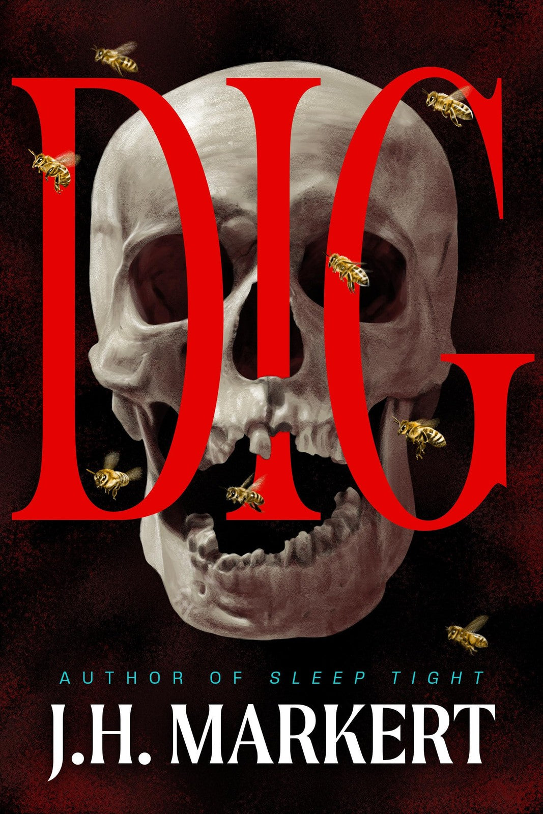Book cover of Dig: A Thriller
