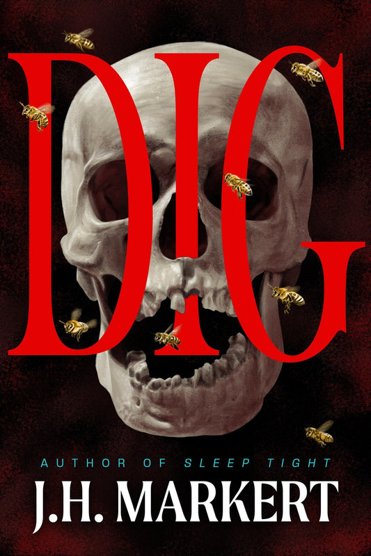 Book cover of Dig: A Thriller