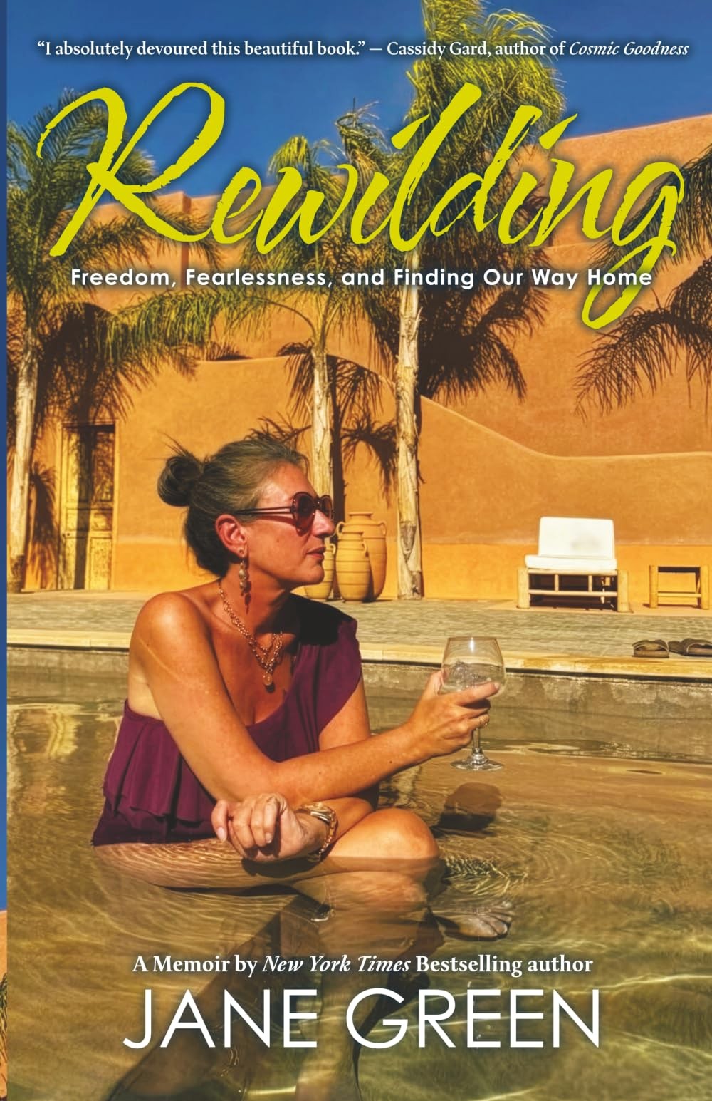 Book cover of Rewilding: Freedom, Friendship, and Finding Our Way Home