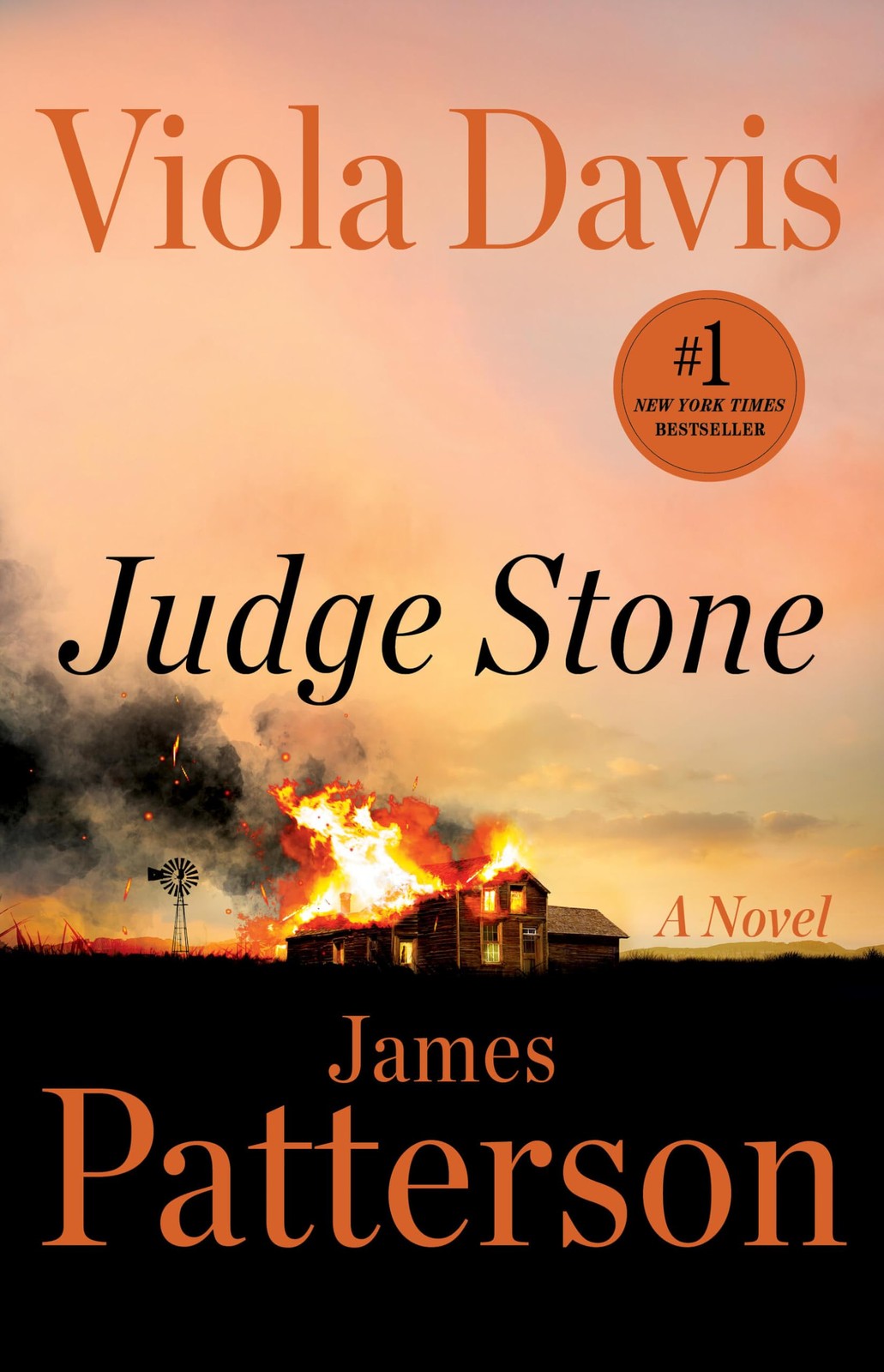 Book cover of Judge Stone: A Novel