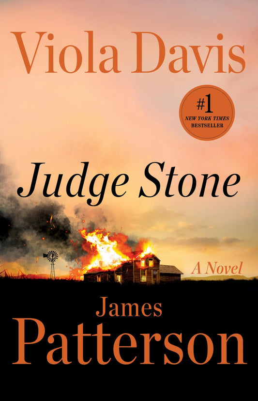 Book cover of Judge Stone: A Novel