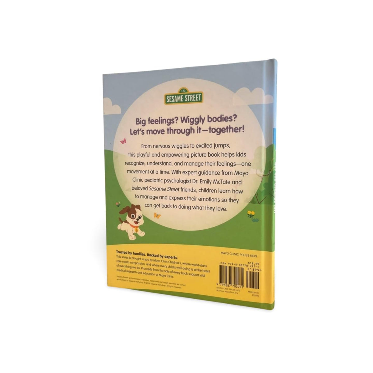 Additional view of Playful Ways to Embrace Feelings with Sesame Street, 2 of 9