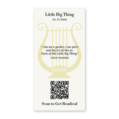 Back of the Readical Little Big Thing V2 bookmark: cream card with lines from the poem by Charles Randolph, a lyre, card No. E1-114214 and a QR code